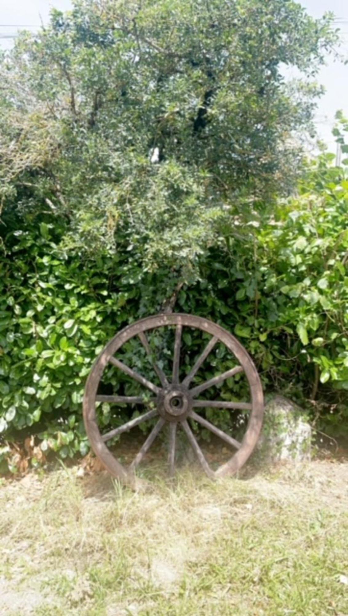 La Grange Du Contoures Bed & Breakfast Castanet  Dış mekan fotoğraf